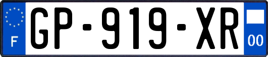 GP-919-XR