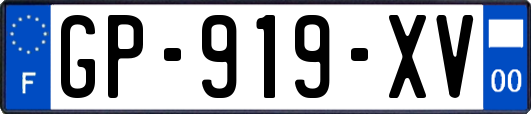 GP-919-XV