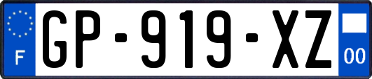 GP-919-XZ