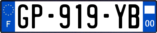 GP-919-YB