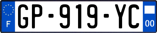 GP-919-YC