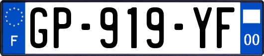 GP-919-YF
