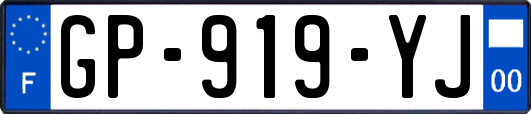 GP-919-YJ