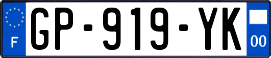 GP-919-YK