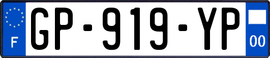 GP-919-YP