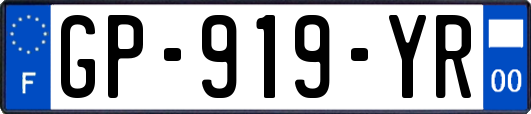 GP-919-YR