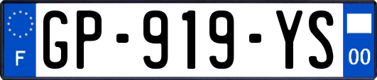 GP-919-YS