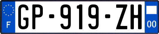 GP-919-ZH