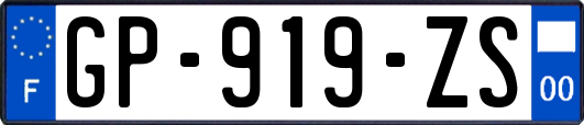 GP-919-ZS