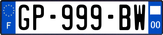 GP-999-BW