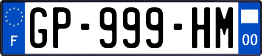GP-999-HM