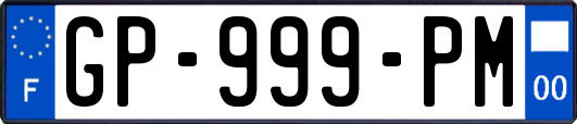 GP-999-PM