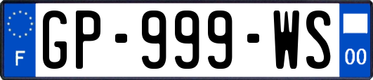 GP-999-WS