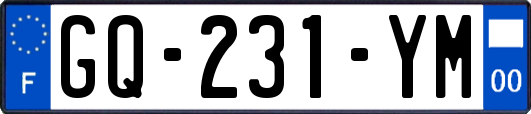 GQ-231-YM