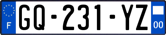 GQ-231-YZ