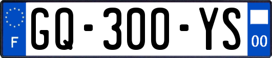 GQ-300-YS