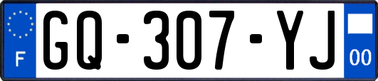 GQ-307-YJ
