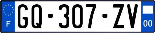 GQ-307-ZV