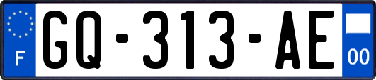 GQ-313-AE