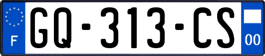 GQ-313-CS