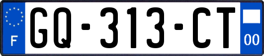 GQ-313-CT