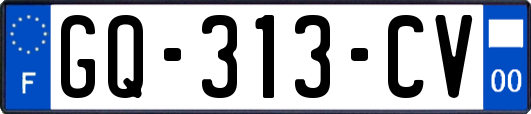 GQ-313-CV