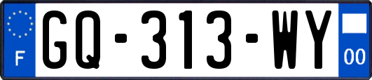 GQ-313-WY
