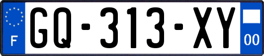 GQ-313-XY
