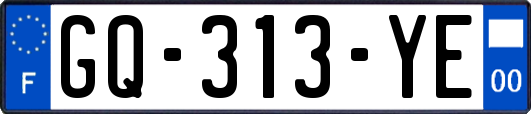 GQ-313-YE
