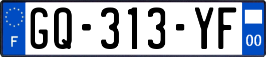 GQ-313-YF