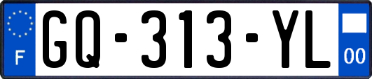 GQ-313-YL