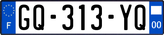 GQ-313-YQ