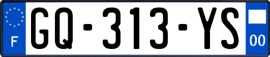 GQ-313-YS