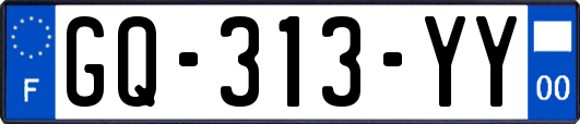 GQ-313-YY