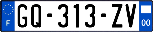 GQ-313-ZV