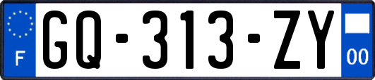 GQ-313-ZY