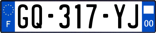 GQ-317-YJ