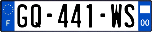 GQ-441-WS
