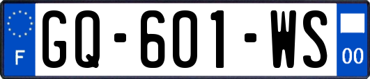 GQ-601-WS