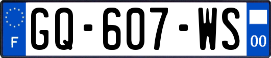 GQ-607-WS