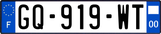 GQ-919-WT