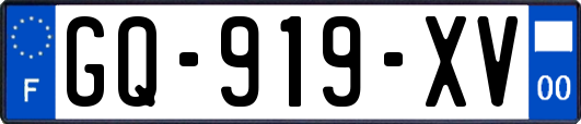 GQ-919-XV
