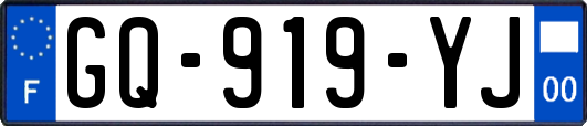 GQ-919-YJ