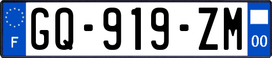 GQ-919-ZM