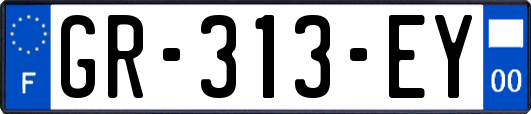 GR-313-EY