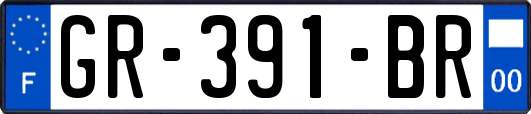 GR-391-BR