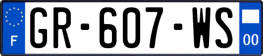 GR-607-WS