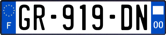 GR-919-DN