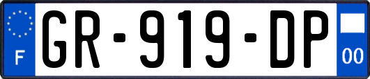 GR-919-DP