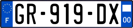GR-919-DX